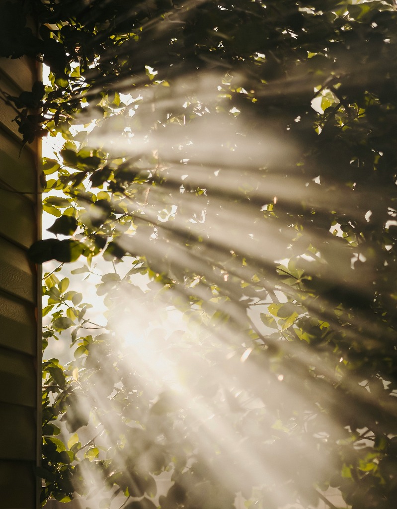 『邪気』のせいにする前に、やるべきこと