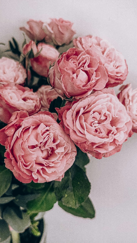 運気が良い人の家には、花がある
